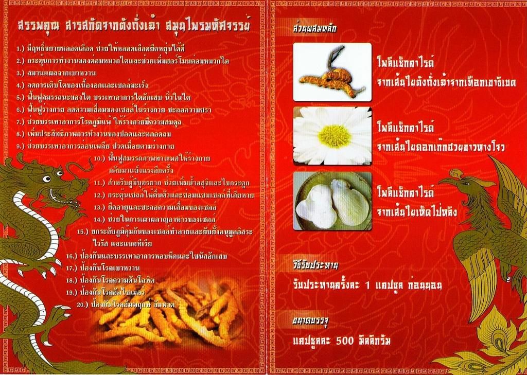 ตังถั่งเช่า